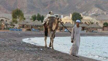 חוף הים בסיני. | יוסי זמיר, פלאש 90 חוף הים בסיני. | יוסי זמיר, פלאש 90