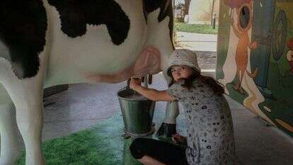 פארק יטבתה. | אורן דולב