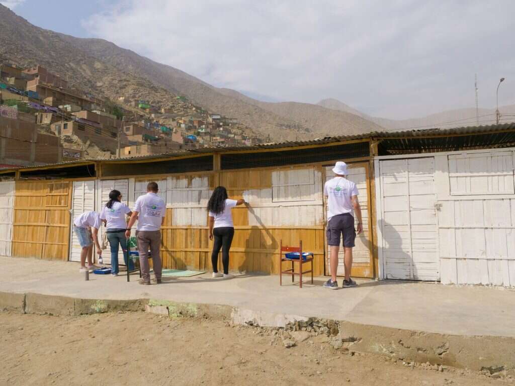 זאב טננבאום