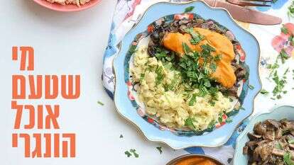 אפרת ליכטנשטט אפרת ליכטנשטט