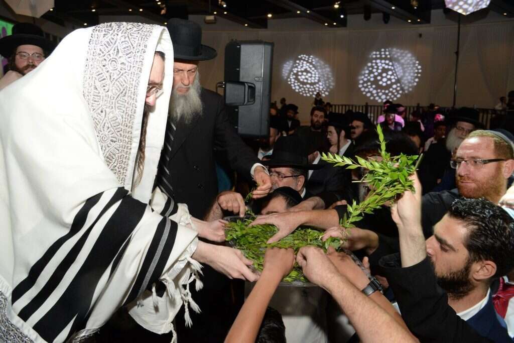 רוצה לסעוד עם כולם. האדמו"ר ממז'יבוז' מחלק בשמים להבדלה. | שוקי לרר - בחדרי חרדים