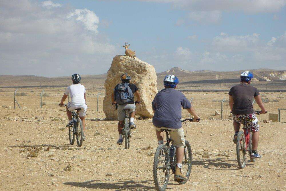 הולכים ומתגלגלים במדבר. | דנה מאיר