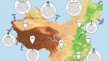 איור: שאטרסטוק