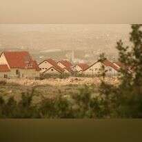 תקוע. | מרים צחי
