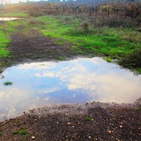 תהל רטוביץ', פיסת שמיים, 2018. מתוך כתב העת "דברים בעלמא"