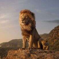 "מלך האריות". | באדיבות פורום פילם