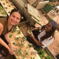 מתנדבות במשק