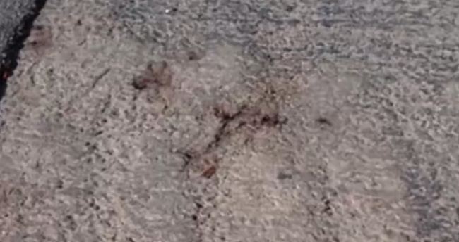 זירת האירוע זירת האירוע