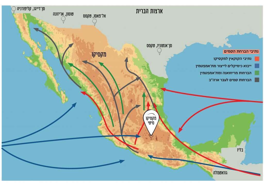 איור: שאטרסטוק