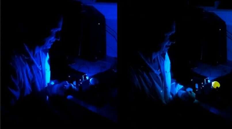 כל ביצה נושאת זכר תזהר. סימולציה של סורק ממיין