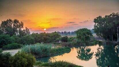 גן לאומי ירקון תל אפק. | מנו גרינשפן