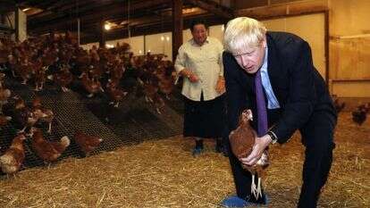 בוריס ג'ונסון בחוות ביצי חופש בניופורט, שלשום. | גטי אימג'ס