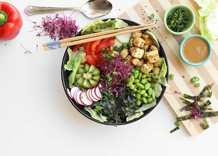 פוקי טופו. | אפרת ליכטנשטט פוקי טופו. | אפרת ליכטנשטט