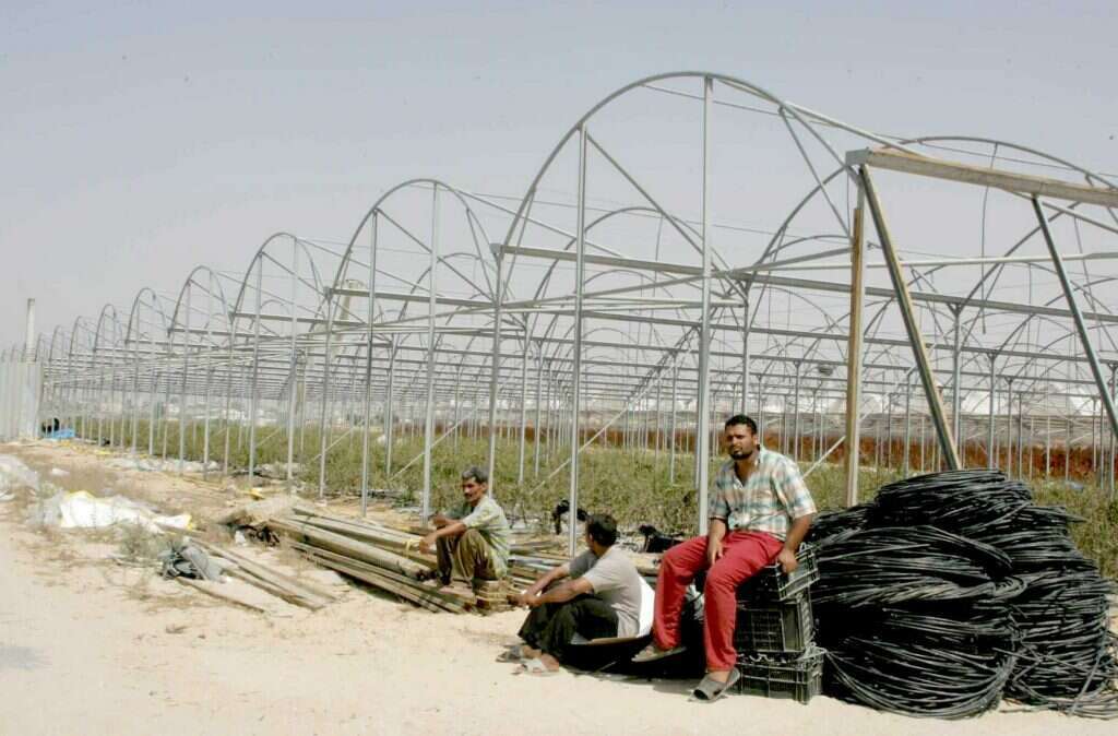 פועלים פלסטינים, קיץ 2005. | מרים צחי