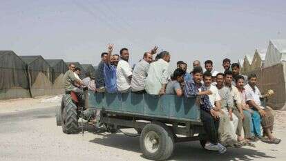 פלסטינים באים לפרק את החממות בישוב בדולח, קיץ 2005. | מרים צחי