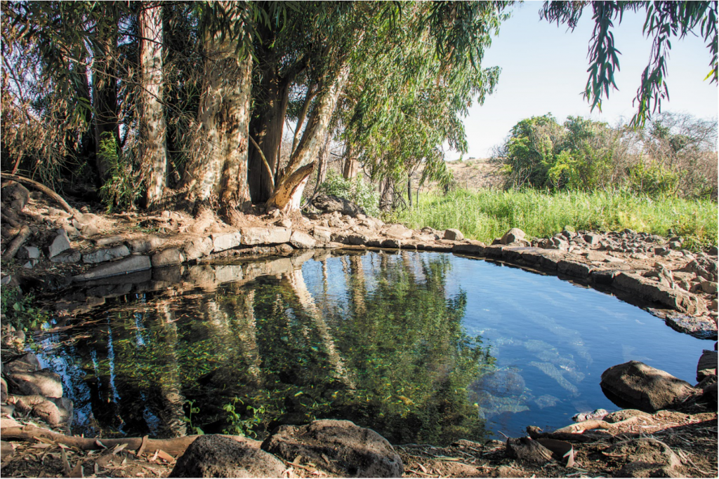 עין אמפי. | הדר שוייצר-כץ עין אמפי. | הדר שוייצר-כץ