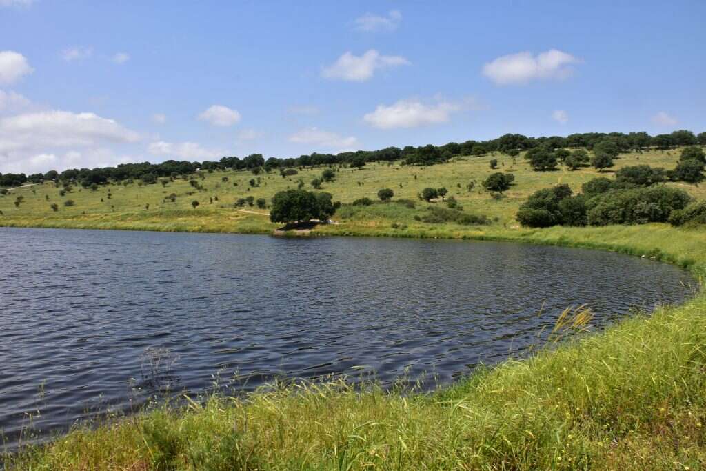 מאגר גלעד. | הדר שוייצר-כץ מאגר גלעד. | הדר שוייצר-כץ