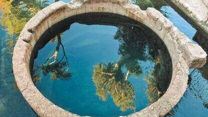 עין מבוע. | הדר שוייצר-כץ עין מבוע. | הדר שוייצר-כץ