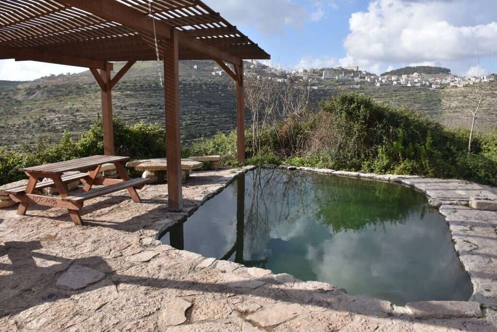 עינות ענר. | הדר שוייצר-כץ עינות ענר. | הדר שוייצר-כץ