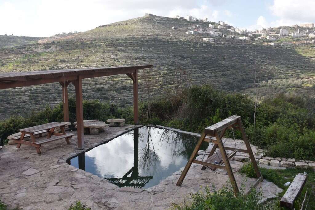 עינות ענר. | הדר שוייצר-כץ