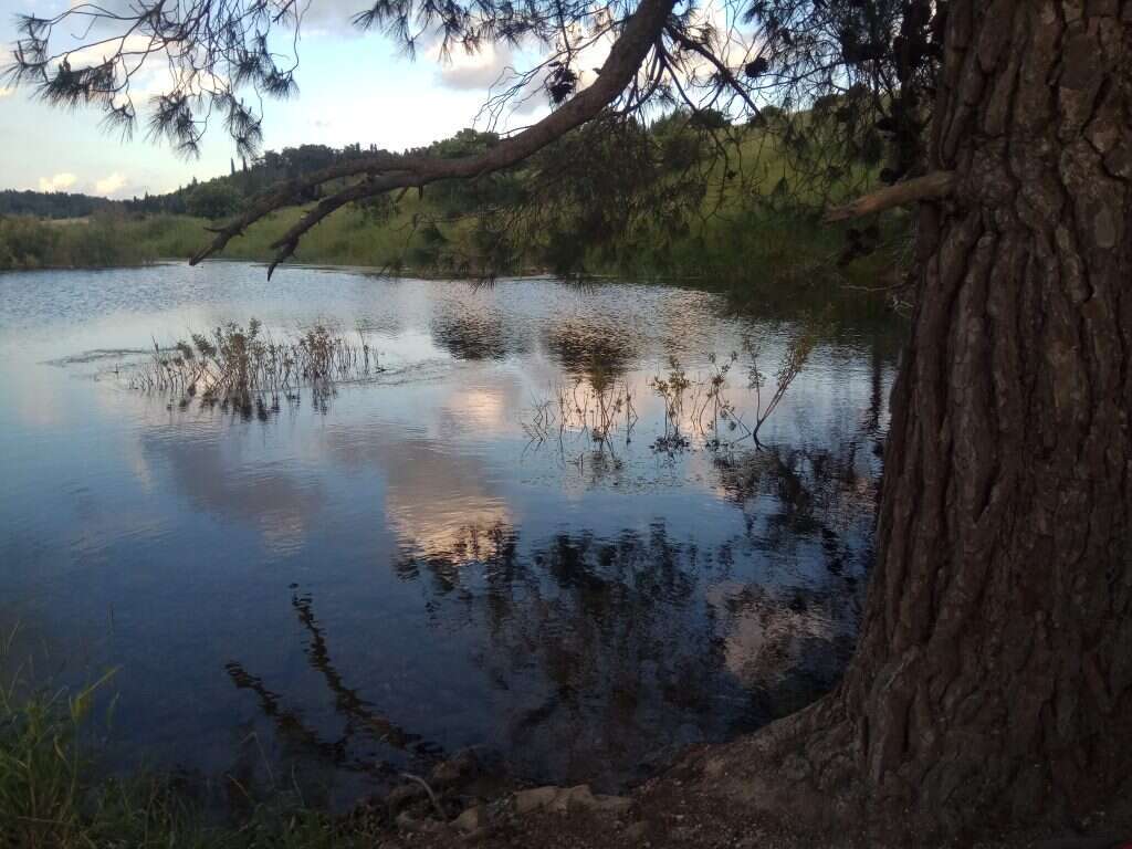 מעיין האהבה. | הדר שוייצר-כץ מעיין האהבה. | הדר שוייצר-כץ