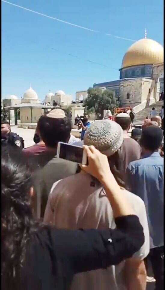 יהודים בהר הבית בצום תשעה באב, השבוע. | ארנון סגל