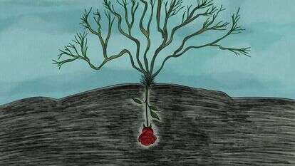 איור: שרון ארדיטי