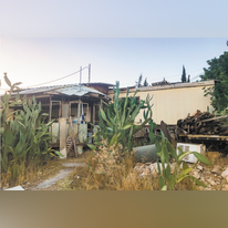 ברוס בריל, כפר אלדד