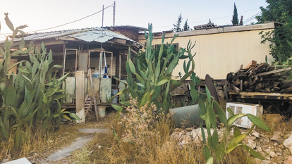 ברוס בריל, כפר אלדד