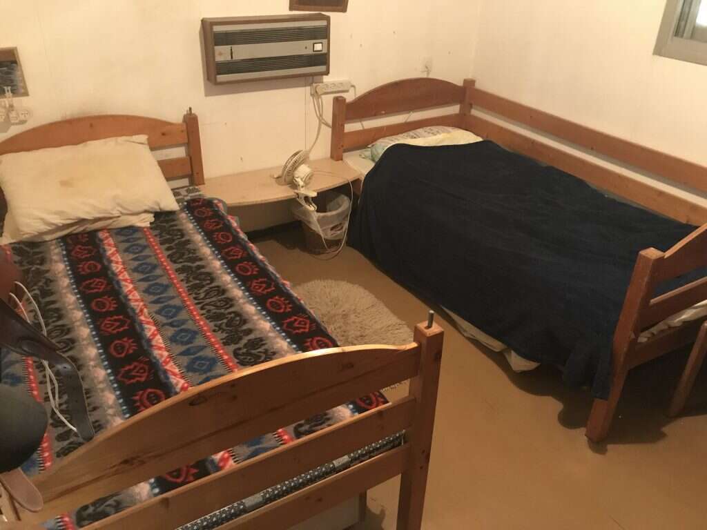 ברוס בריל, כפר אלדד