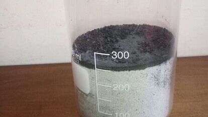 אפר גפן. | פרופ' זהר עמר