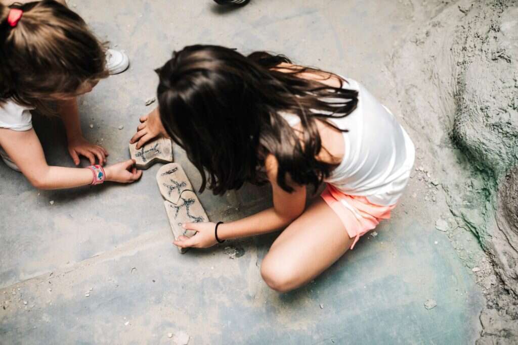 ממלכת הדרקונים, מתחם שרונים. | שחר ארביב