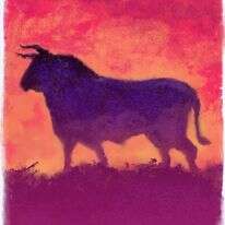 איור: מנחם הלברשטט