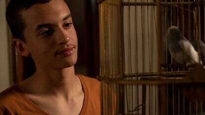 משפחות שלושת הנערים בשנת 2014. בת גלים שער - משמאל. | מרים צחי