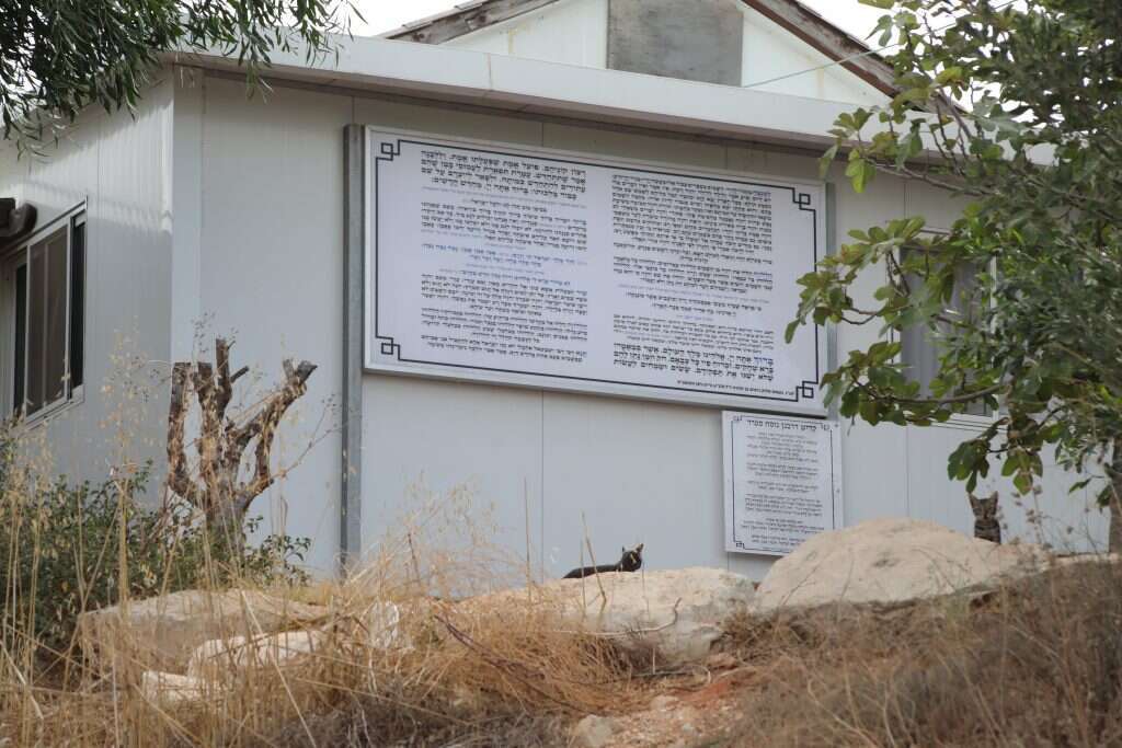 מניין התפילה התפצל. בית הכנסת בישוב. | מרים צחי