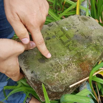 מאיר בולקה - J-nerations