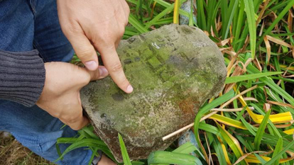 מאיר בולקה - J-nerations