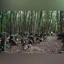 בית קברות יהודי בפולין. | AFP