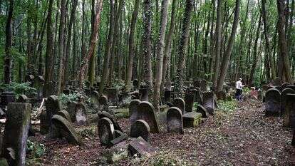 בית קברות יהודי בפולין. | AFP