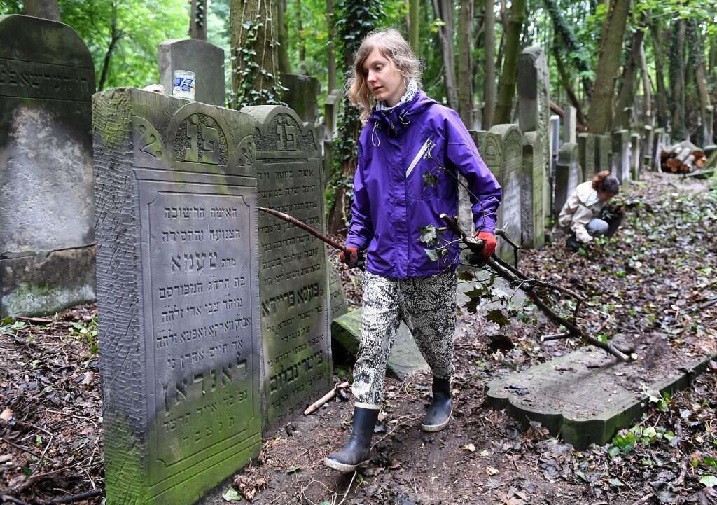 עבודת השיקום נעשתה בעיקר בהתנדבות. מתנדבת פולנייה בבית העלמין בוורשה. | AFP