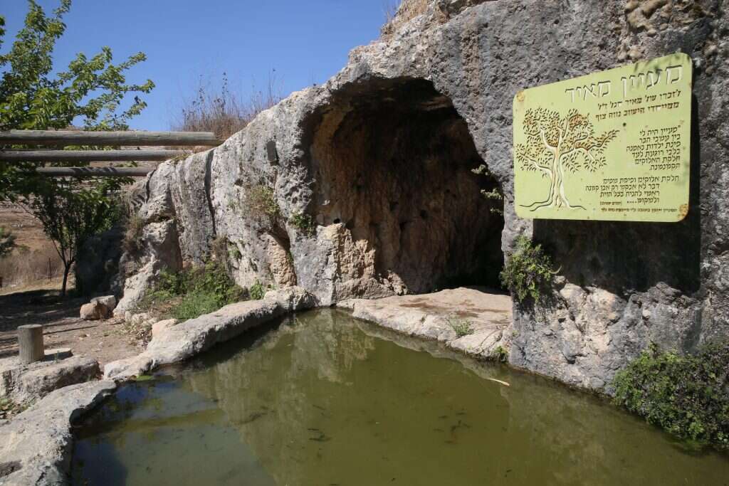מעיין מאיר. | מרים צחי
