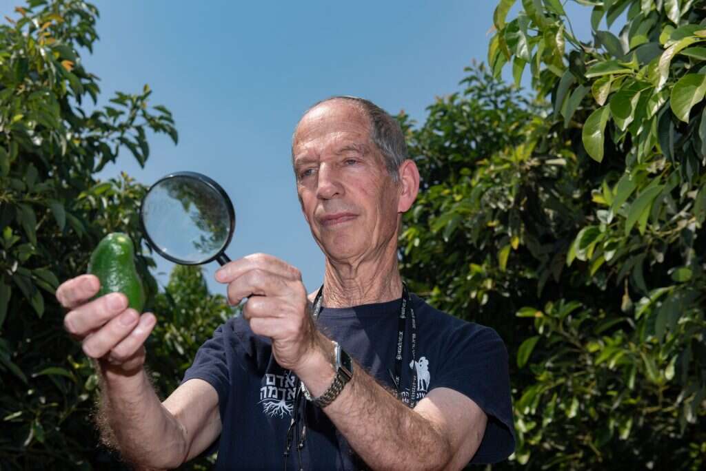 פרופ' רפי שטרן והאבוקדו. | אייל מרגולין, ג'יני