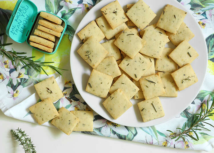 ריבועי פרמזן. | אפרת ליכטנשטט ריבועי פרמזן. | אפרת ליכטנשטט