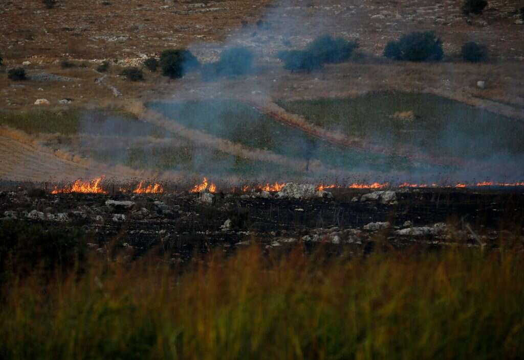 אביבים. | AFP