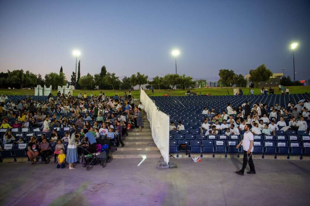 מרצויים למדירים. מופע המריבה בעפולה. | גיל אליהו- ג'יני