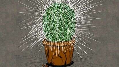 איור: שרון ארדיטי