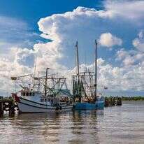 מפרץ מקסיקו. | שאטרסטוק
