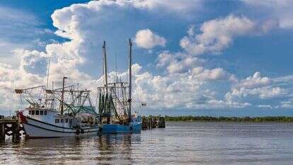 מפרץ מקסיקו. | שאטרסטוק