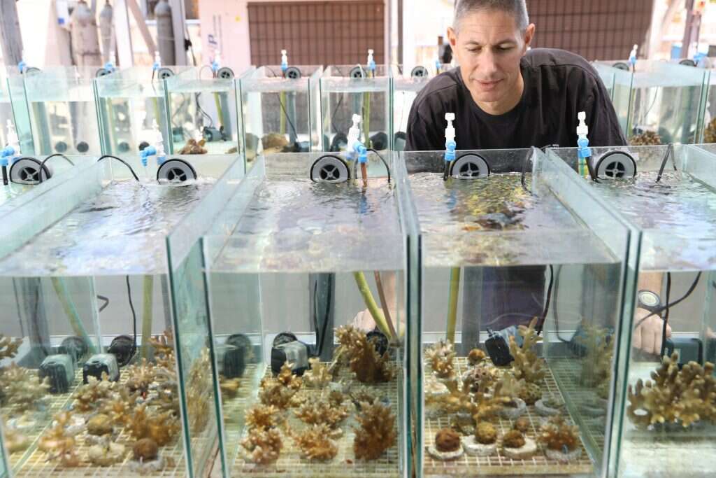 פרופ' מעוז פיין. | איתמר גרינברג