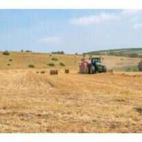 שדה תבואה לאחר קציר, סמוך לכפר קיש. | איתי בודל, מתוך הספר "ישראל במבט פנורמי" il.co israelbooks.www